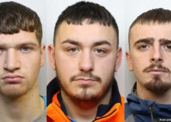 Банда, укравшая мотоциклов на $1,3 миллиона, попалась из-за соцсетей