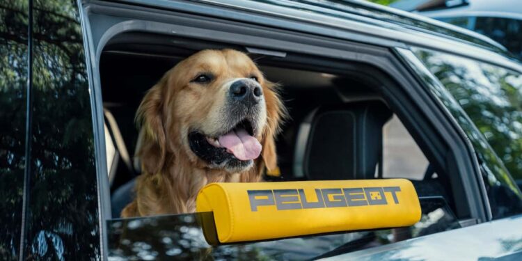 Peugeot E-5008 Dog Edition: Концепт для собачников