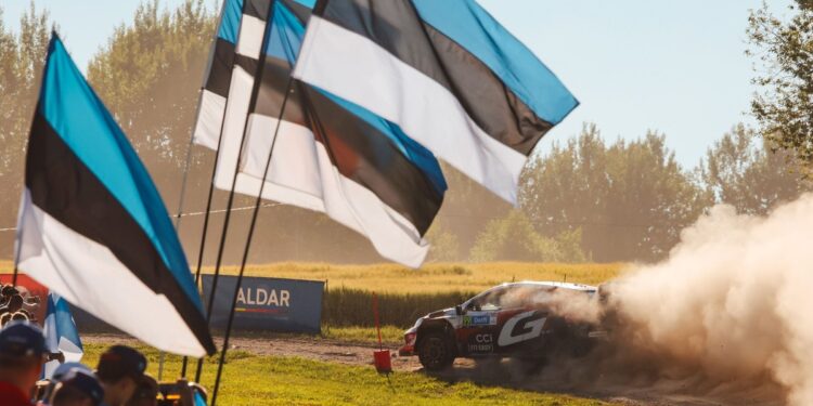 WRC сжал ралли до 50 часов: пилоты в восторге