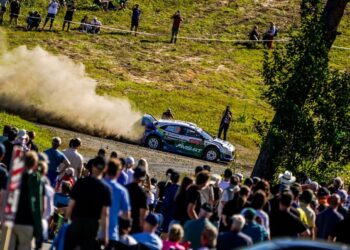 FIA нацелилась на китайских производителей для WRC
